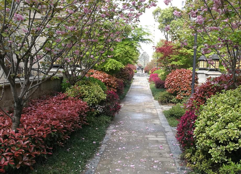 襄陽園林工程 襄陽園林工程