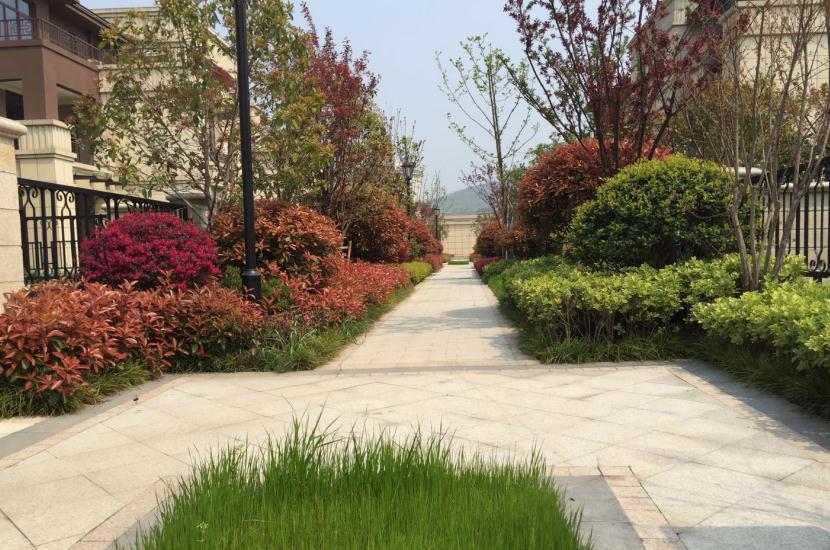 湖北園林施工 湖北園林施工