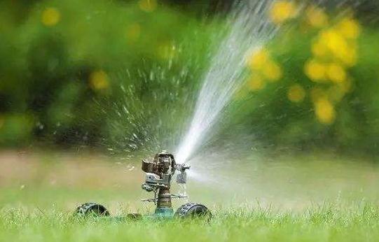 綠化苗木的灌溉與排水，應該注意這8個方面！