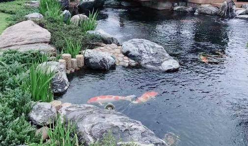 關于園林水景的用途，大致上了解下這5點！