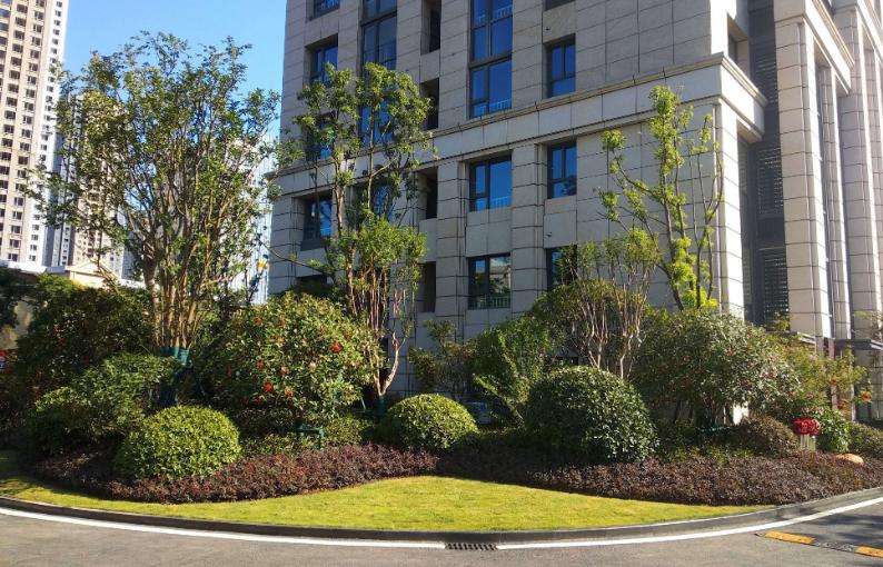 降溫了！湖北園林綠化公司分享植物萎蔫后的如何養護和復壯