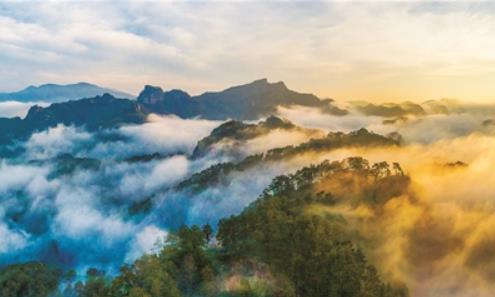國(guó)家公園怎么建？人大代表這樣建議
