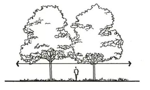 干貨 | 一文看懂，園林景觀植物設(shè)計！