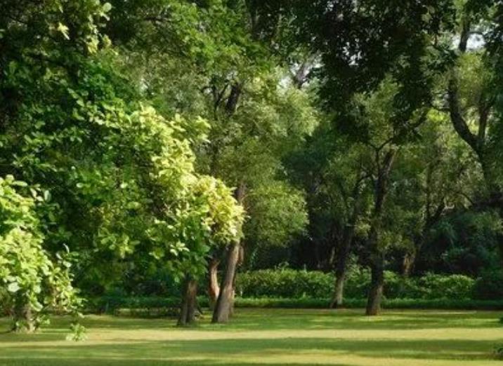 園林綠化養(yǎng)護那些事兒，你都知道嗎？