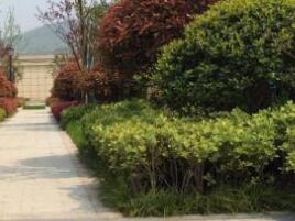 園林設(shè)計的原則一般有什么呢？