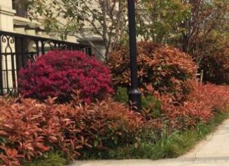 在園林設(shè)計布局中，色彩因素要注意什么？