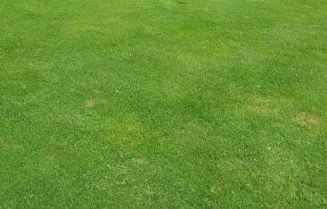 冬季草坪養(yǎng)護(hù)：保綠防枯，控水肥防結(jié)冰